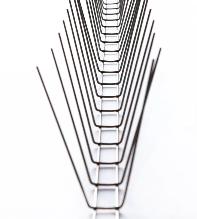 Stainless Steel Bird Spikes best